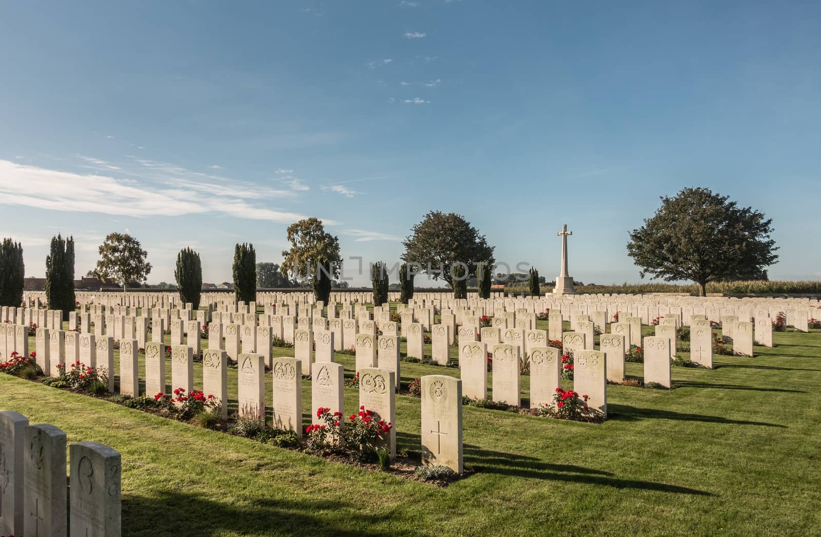 Proven, Flanders, Belgium - September 15, 2018: Overview of Mendinghem British war cemetery under blue morning sky. Green lawn, beige tomb stones and red roses with dark green trees sprinkled.