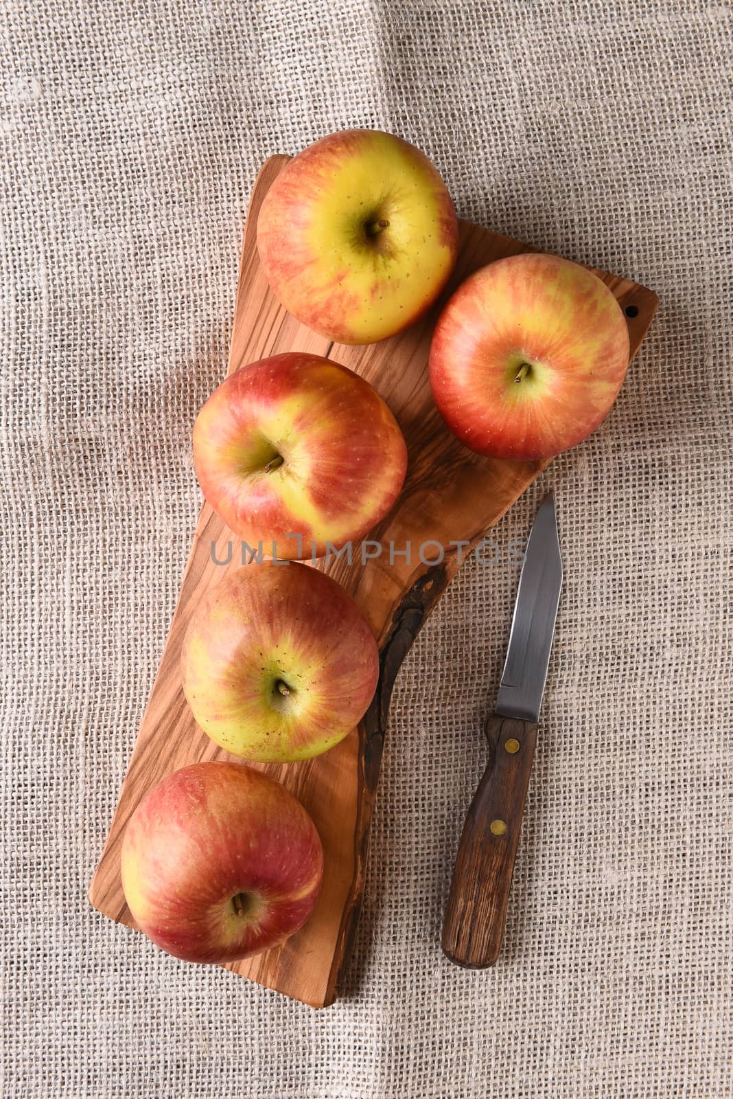 Braeburn Apples on Cutting Board by sCukrov
