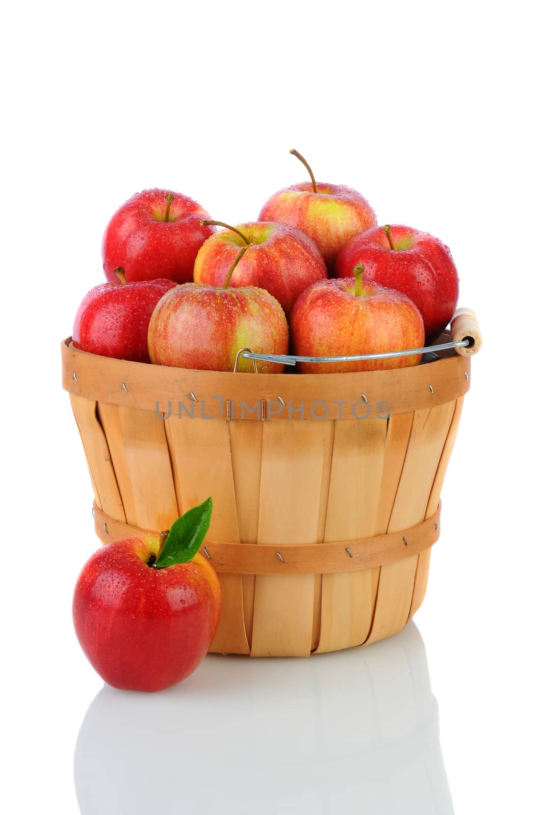 A basket full of fresh picked Gala Apples. Vertical format over a white background with reflection.