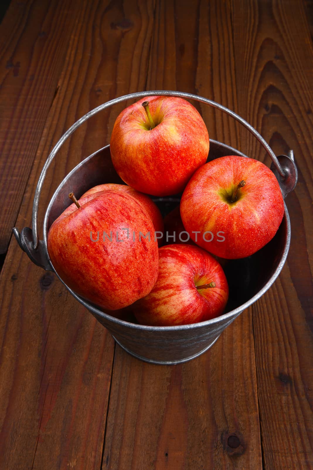 High angle shot of a glavanized pail full of fresh picked Gala apples on a dark wood rustic surface.