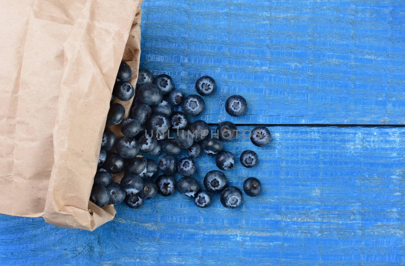 Fresh picked blueberries spilling out of a brown paper bag onto a rustic blue wood table. Horizontal format with copy space shot from a high angle.