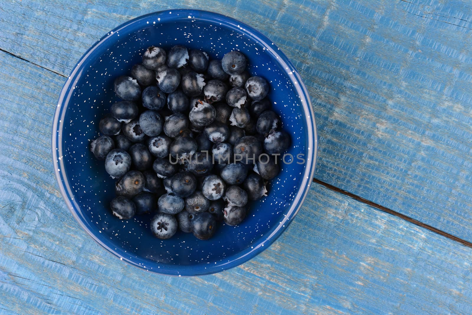 High angle image of an enamelware bowl full of fresh picked blueberries. Horizontal format on a blue wood kitchen table, with copyspace.