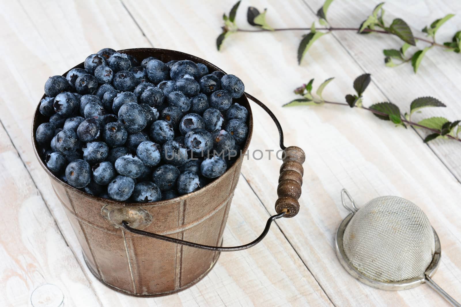 High angle shot of a metal bucket full of fresh picked blueberries on a rustic wooden kitchen table. Horizontal format with leaves and a strainer.