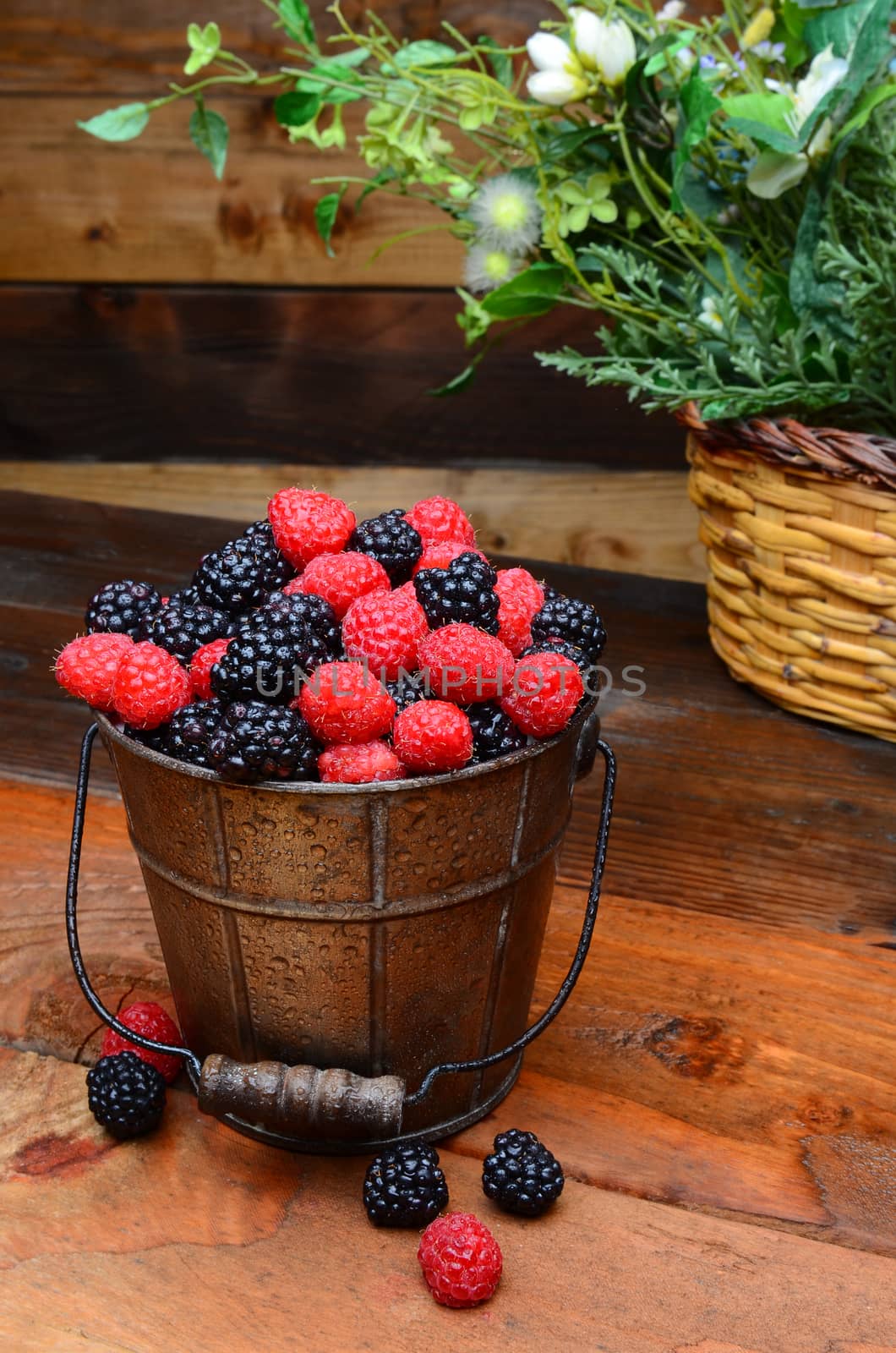 Fresh picked blackberries and raspberries in a galvanized pail on a rustic wooden table. Vertical format