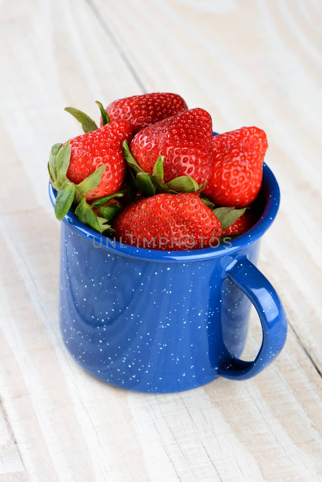 A blue speckled cup on a rustic farmhouse style kitchen table filled with freshly picked ripe strawberries. Vertical format.