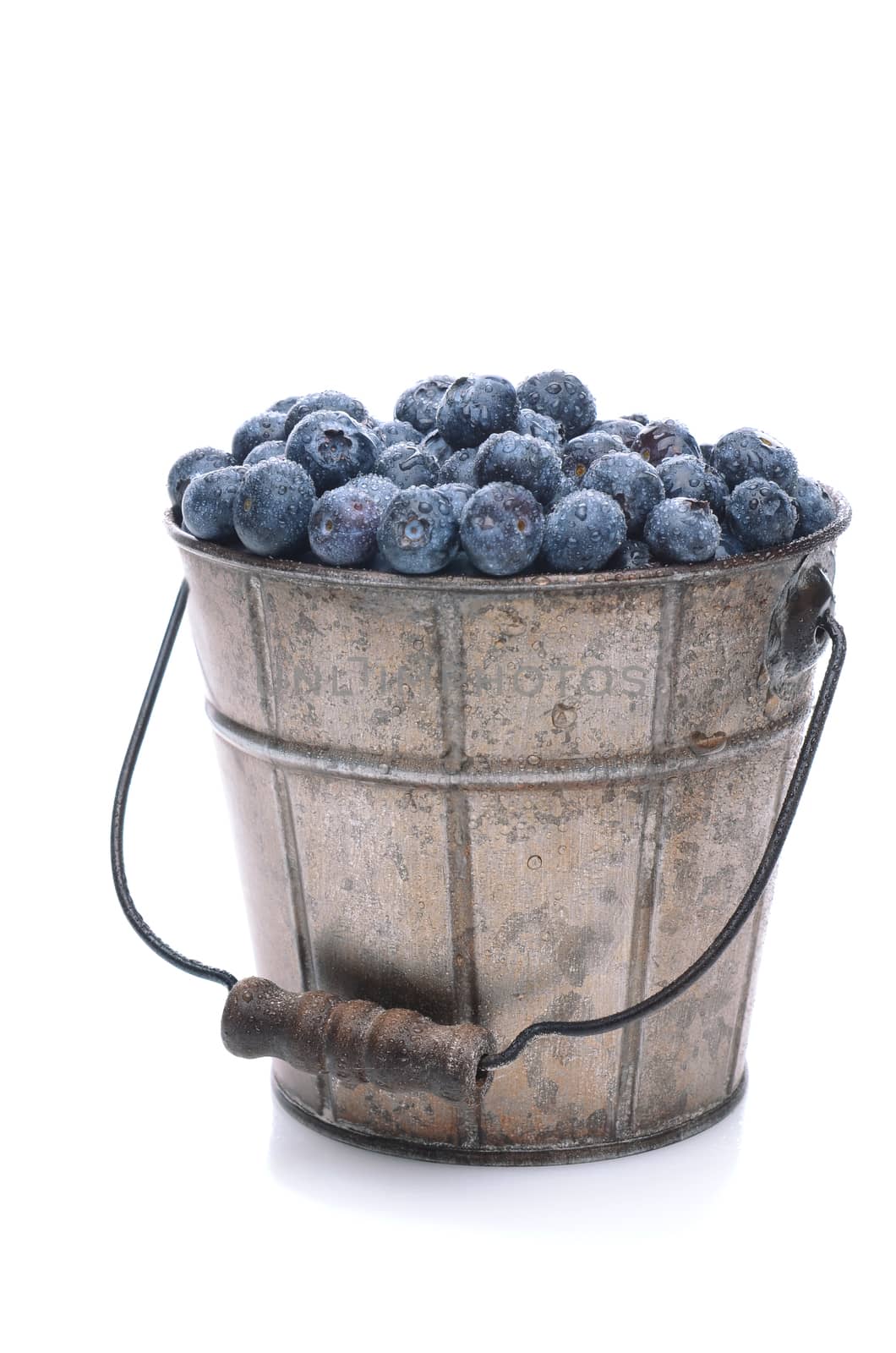 Pail of Fresh Picked Blueberries by sCukrov