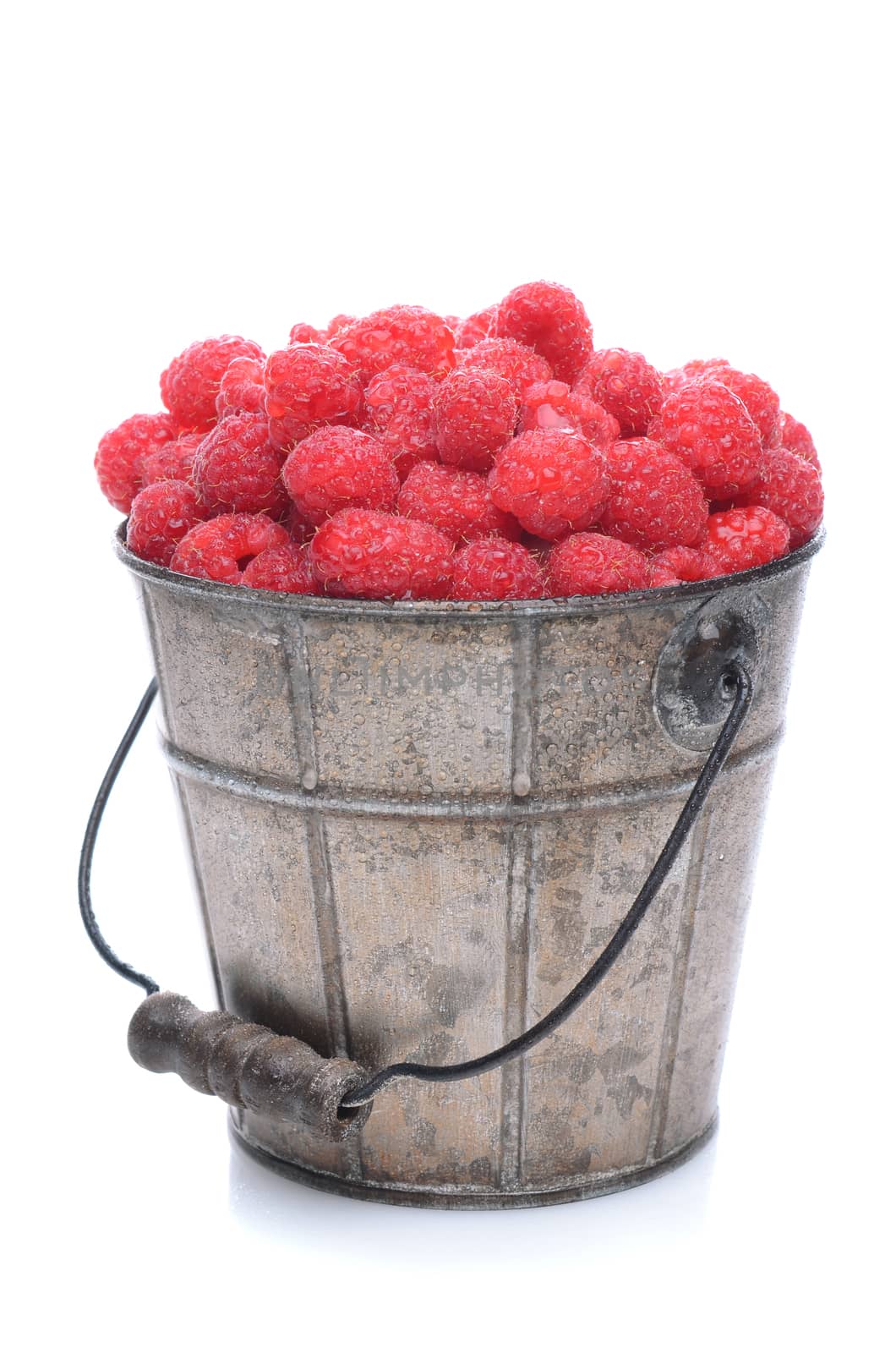 Pail of Fresh Picked Raspberries by sCukrov