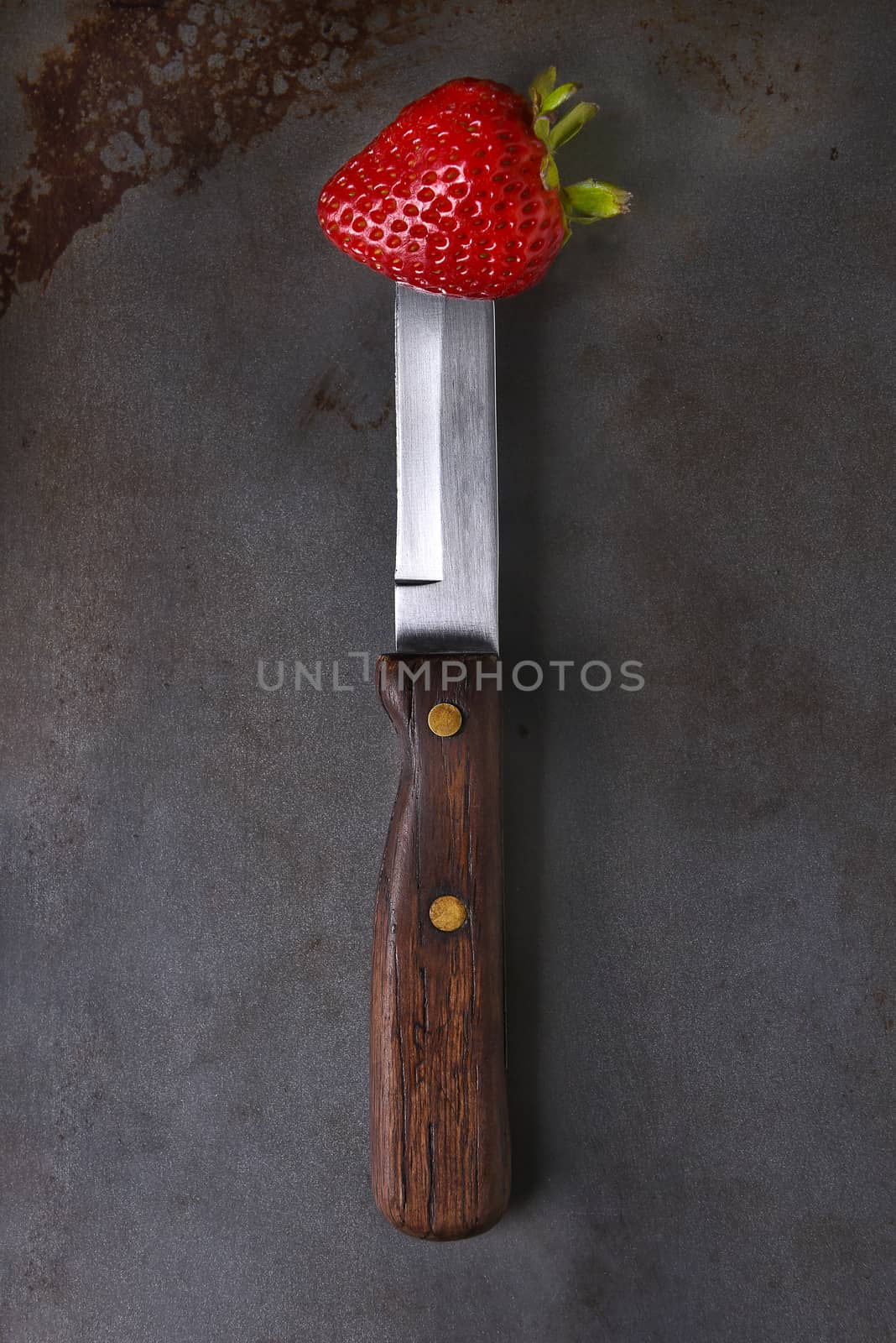 Still life of a fresh picked strawberry stuck on the end of a knife.