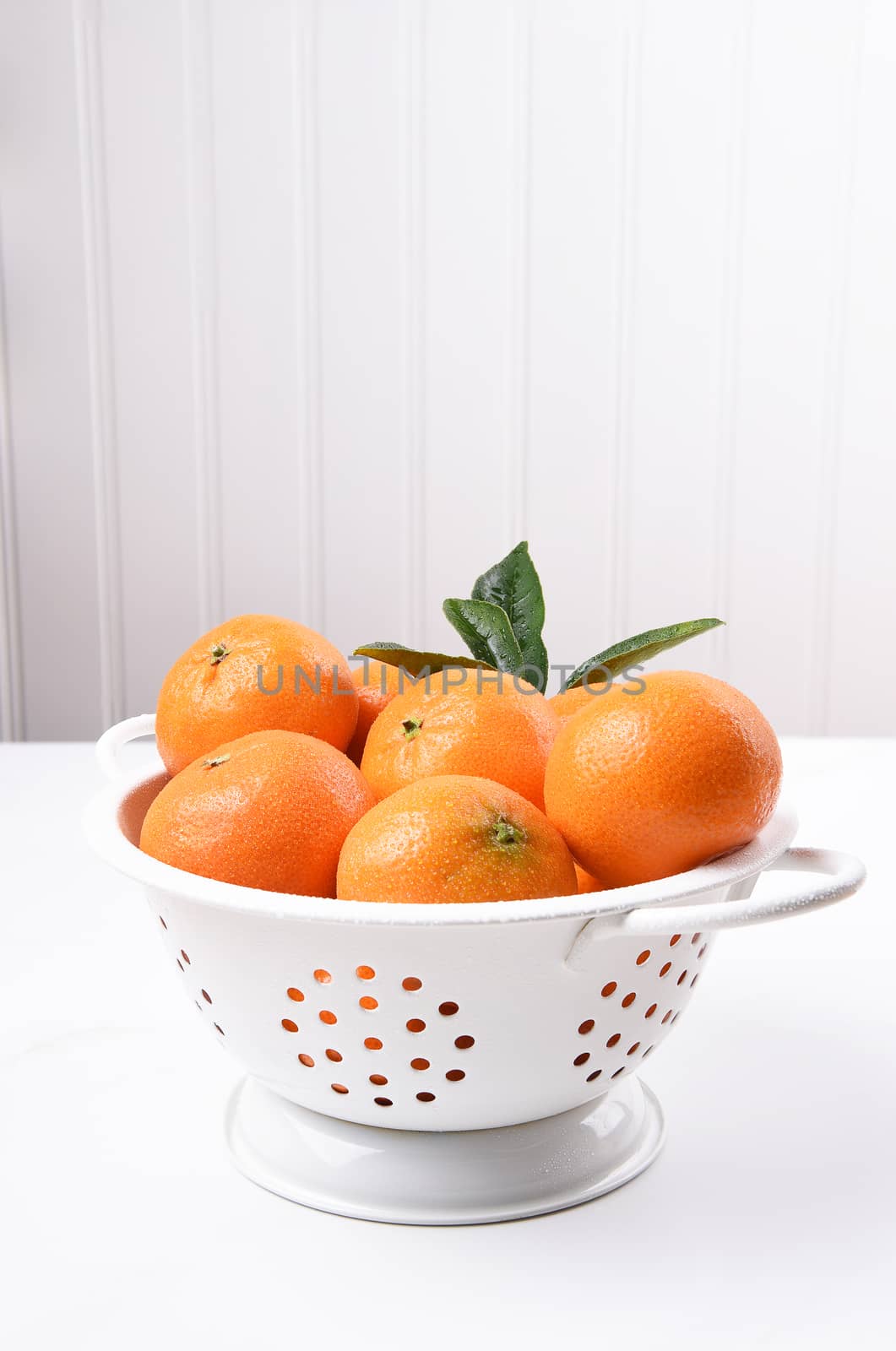 Closeup of a white colander filled with fresh picked mandarin oranges.