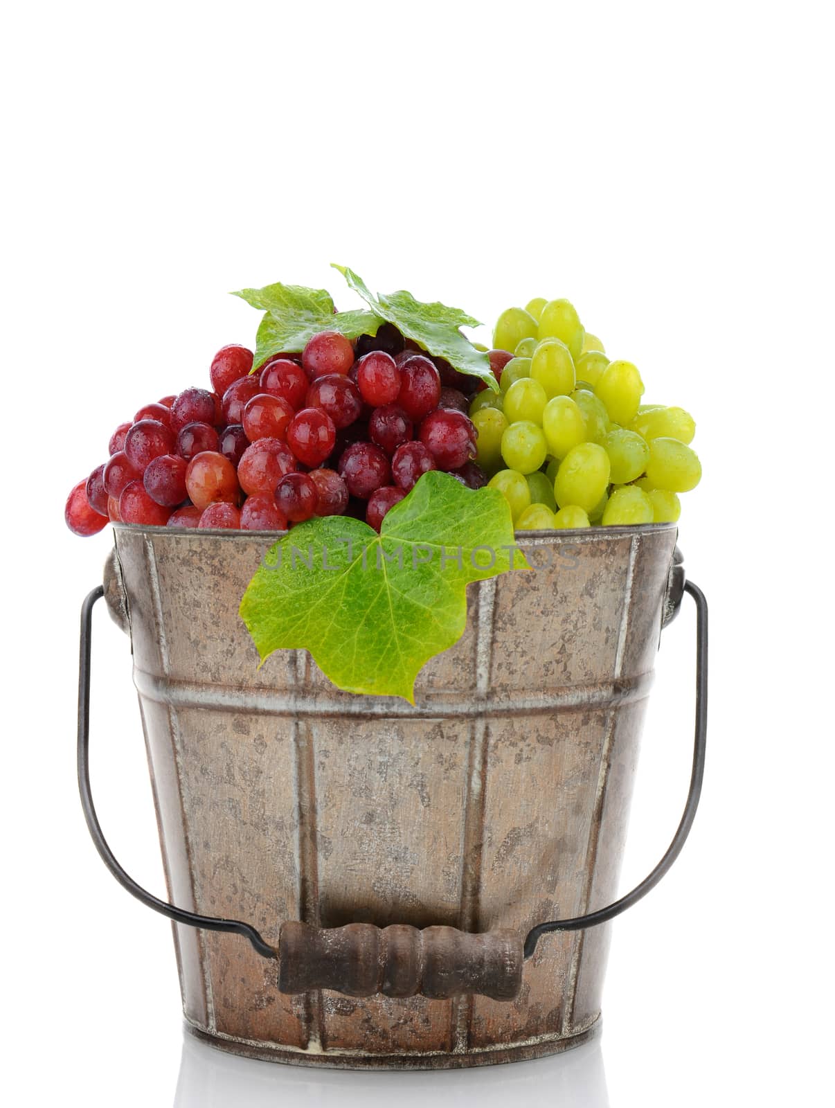 An old metal bucket full of fresh ripe red and green grapes. Vertical format on a white background with reflection.