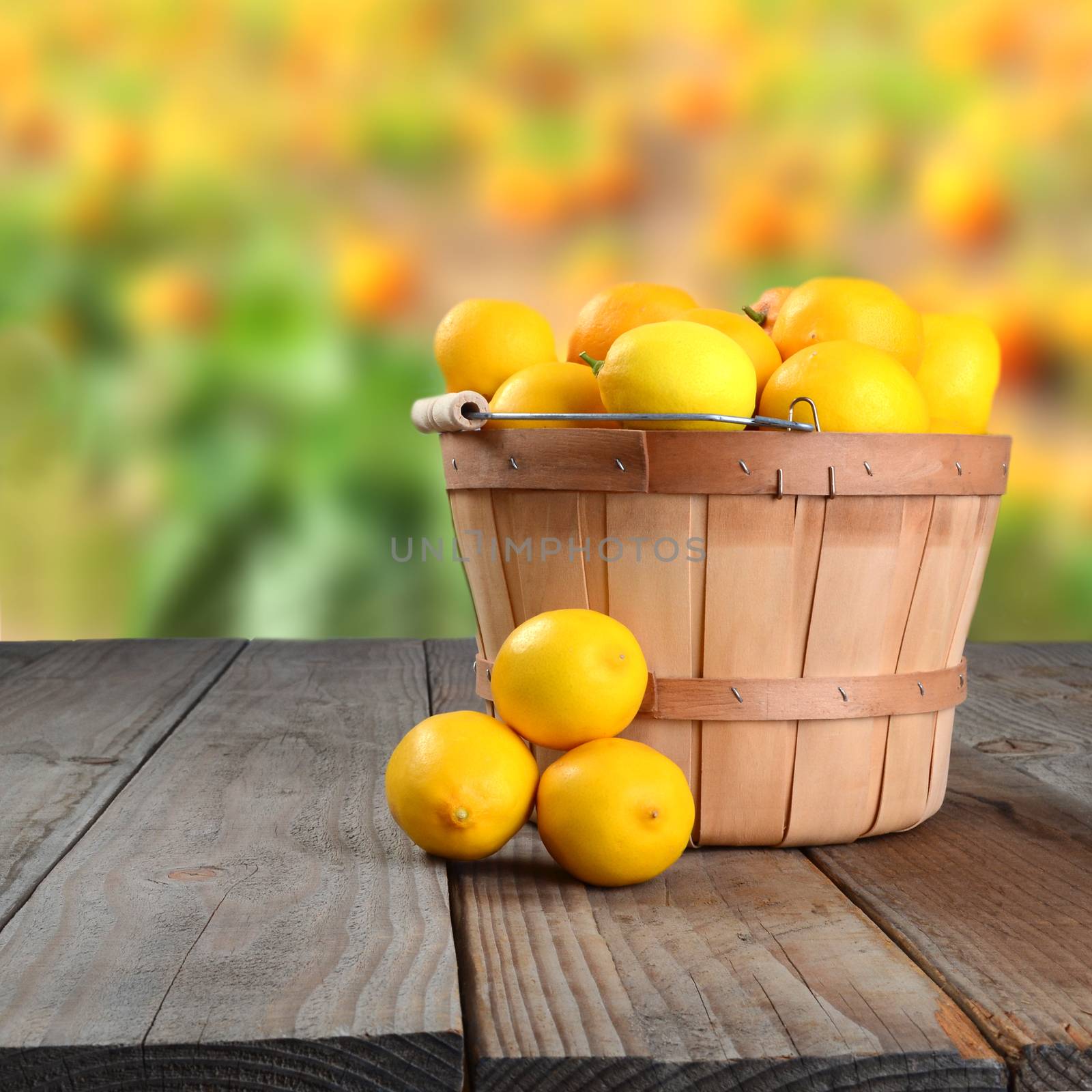 Lemon Basket on Table by sCukrov