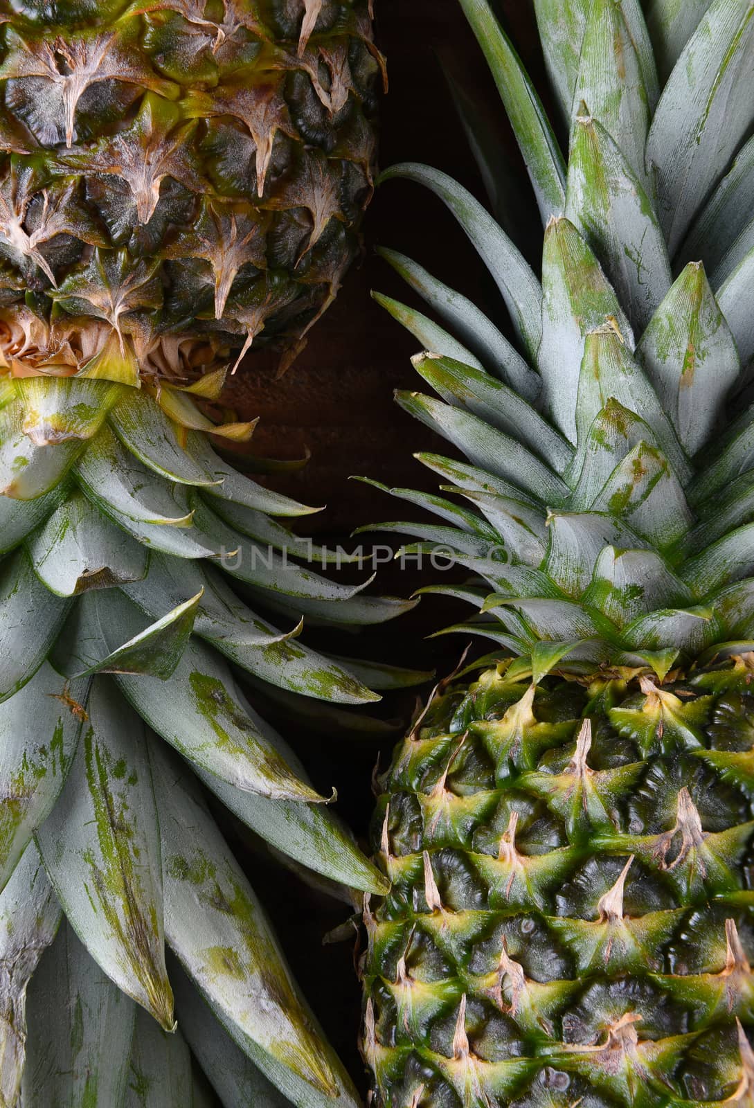 Pineapples: Closeup of two fresh ripe pineapples on a dark wood surface.