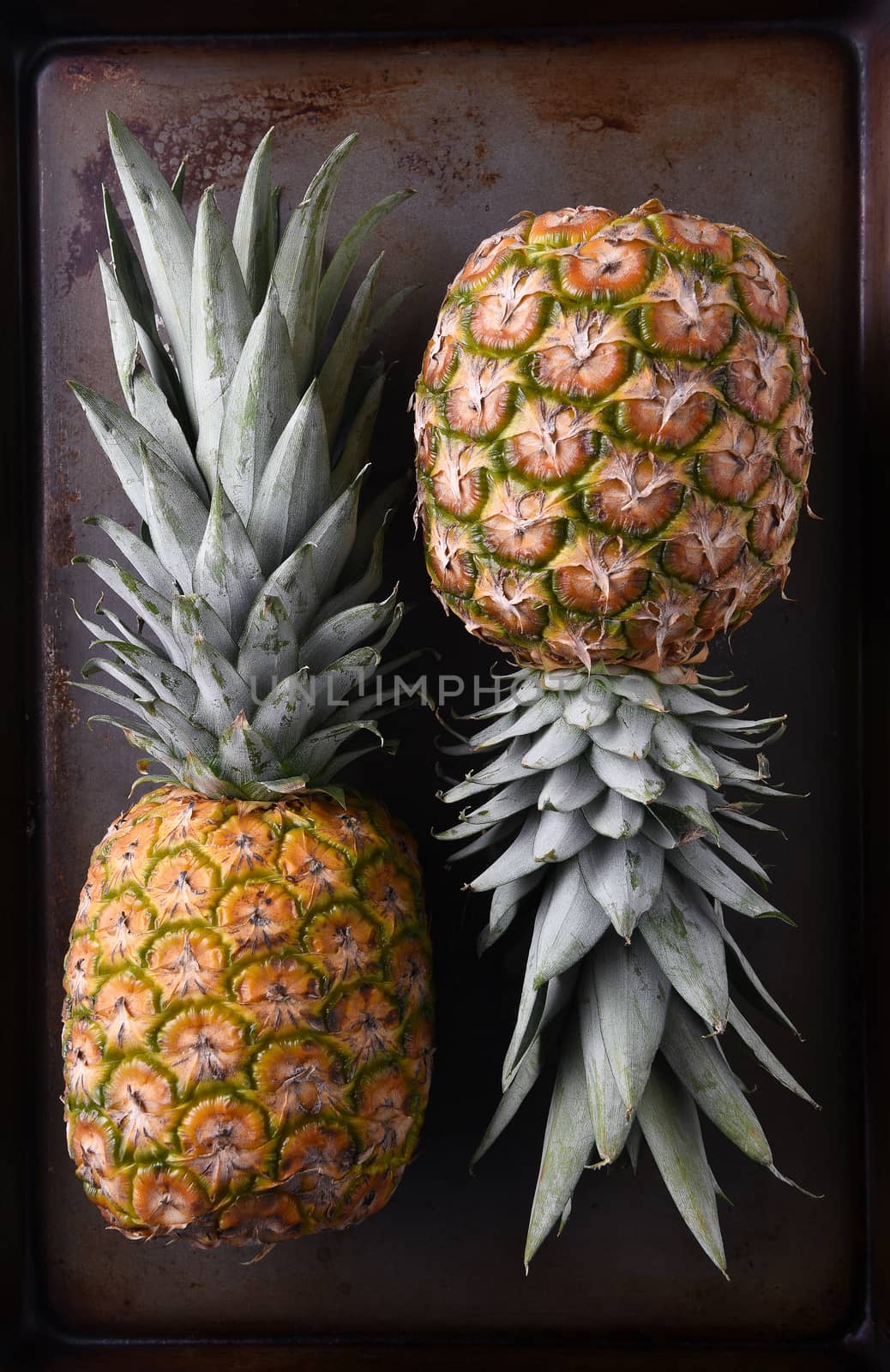 High angle view of two whole fresh ripe pineapples on a metal baking sheet.