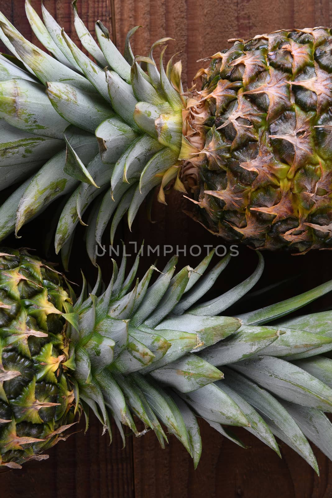 Pineapples: Closeup of two fresh ripe pineapples on a dark wood surface.