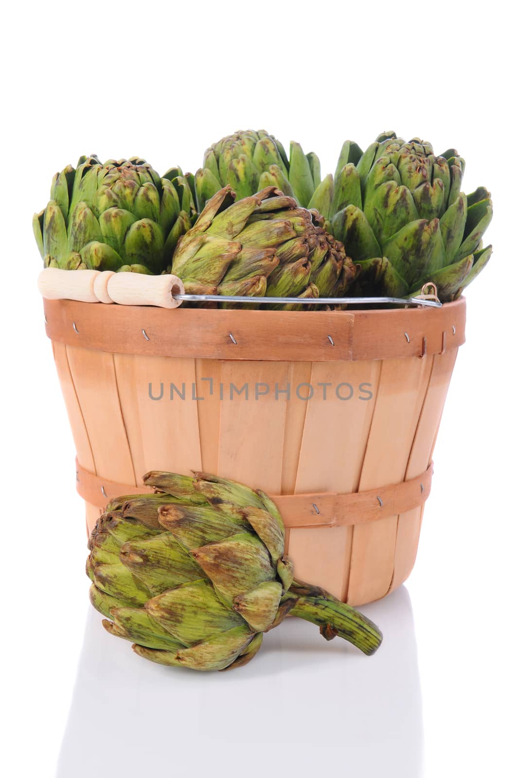 Fresh picked artichokes in a basket with one on the surface in the foreground. Vertical format over a white background with reflection.