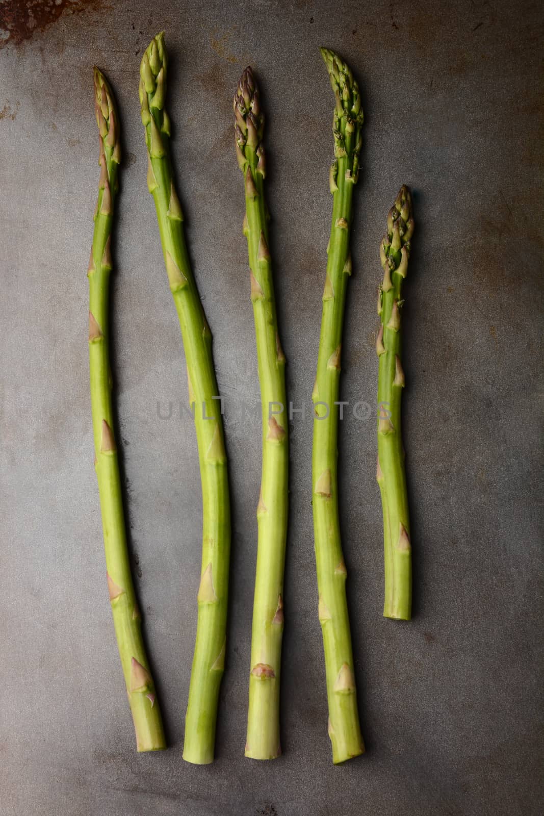 Five Asparagus Spears on a metal cooking sheet. Vertical format.