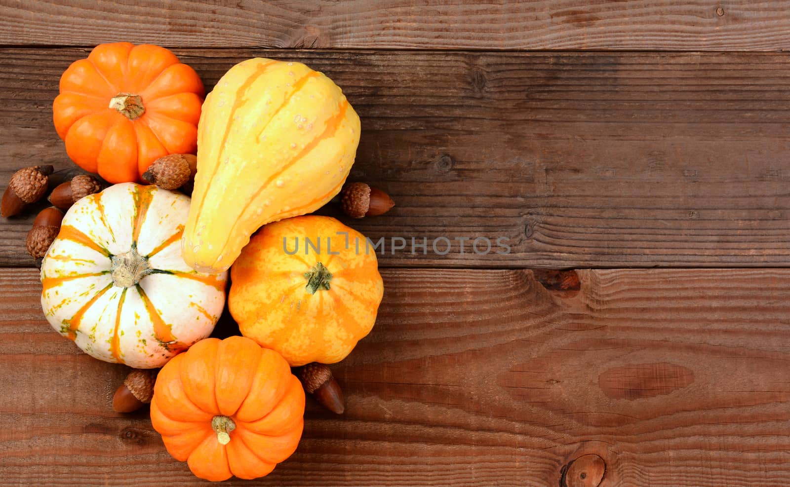 An autumn still life of decorative mini pumpkins, gourds and acorns on a rustic wood table. Horizontal format with copy space.