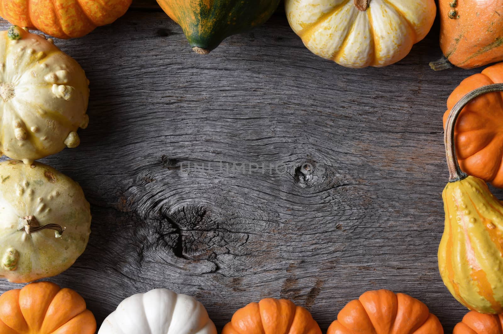 Closeup shot of a group of decorative Pumpkins, Squash and Gourds on a rustic wood table. The vegetables form a frame.