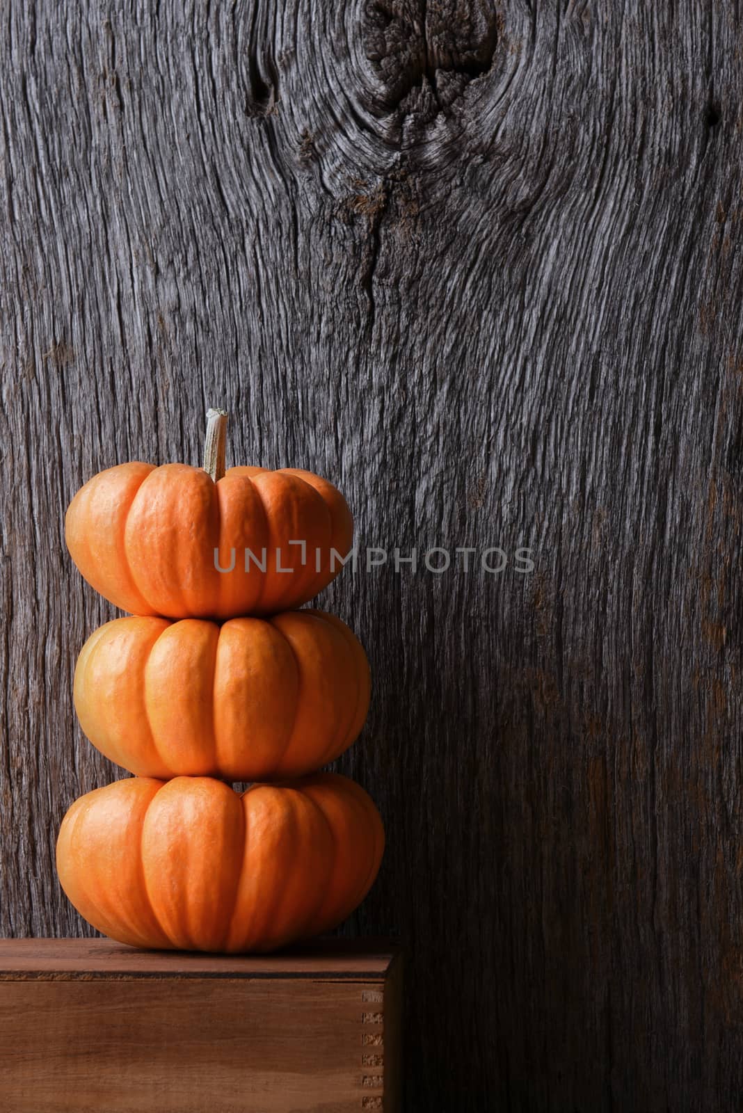 Mini decorative pumpkins against a rustic wood background by sCukrov