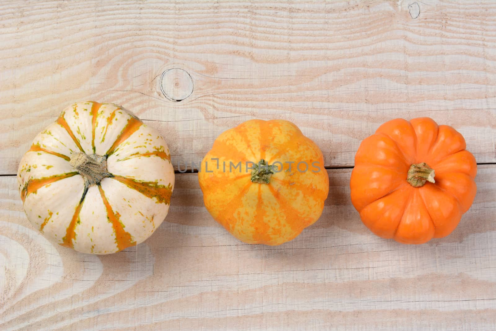 Overhead shot of  decorative pumpkins and gourds on a rustic whitewashed wooden table. Horizontal format.