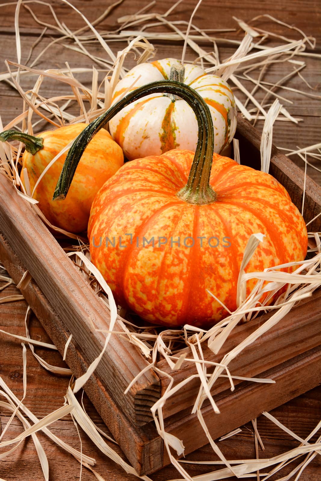 Closeup of decorative pumpkins and gourds in wooden crate with straw. Vertical format on a rustic wood table.