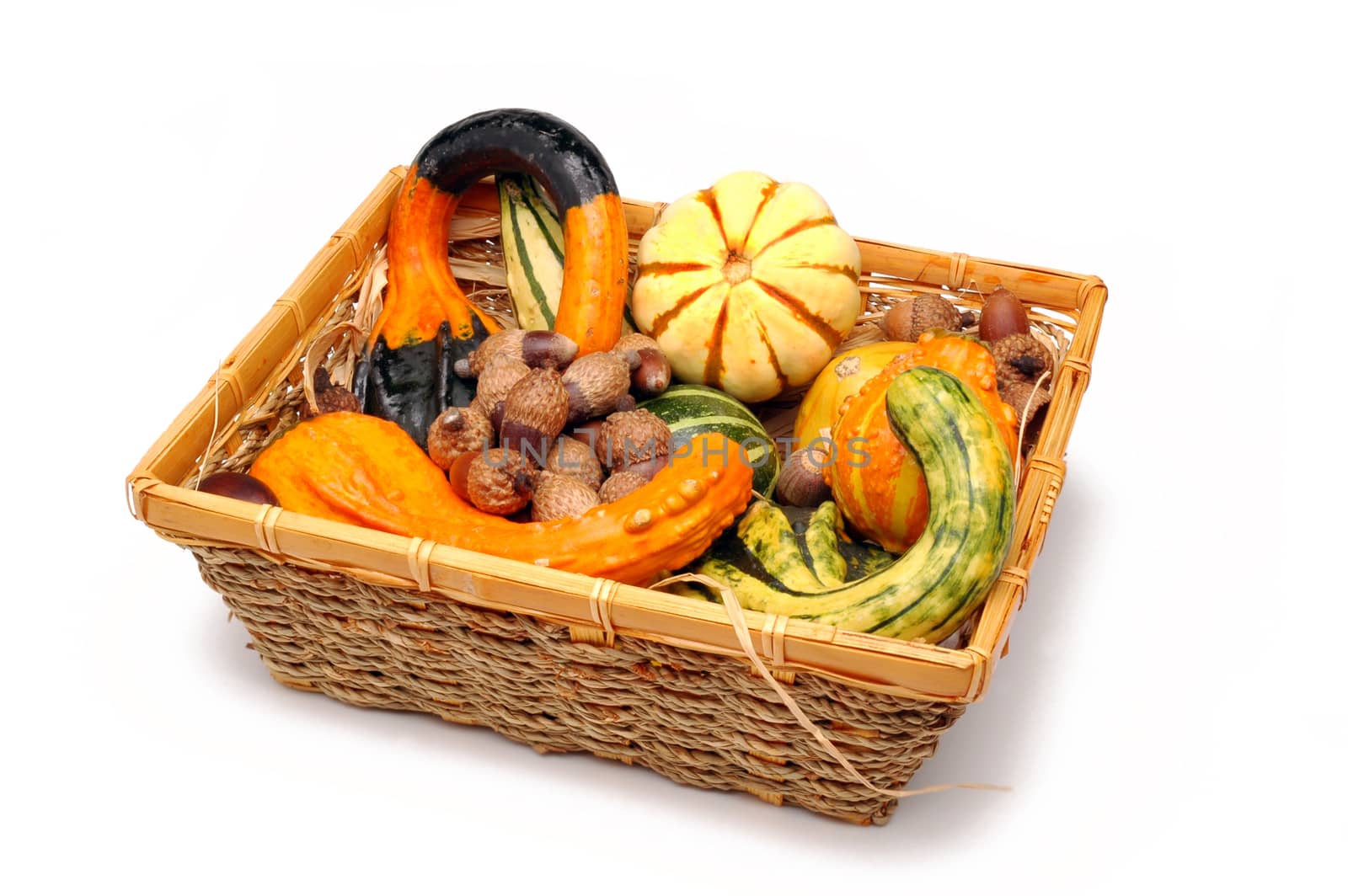 Colorful Gourds and acorns in Basket