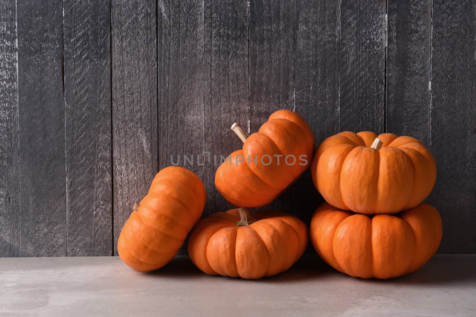 Five decorative mini pumpkins for Autumn display. Horizontal against a dark gray wood background, with copy space.