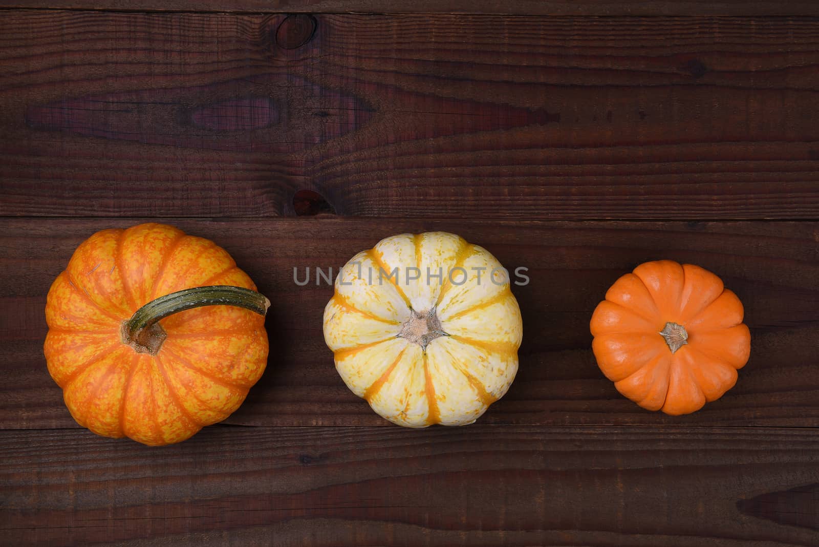 Fall Still Life: Three decorative pumpkins on a rustic wood table.