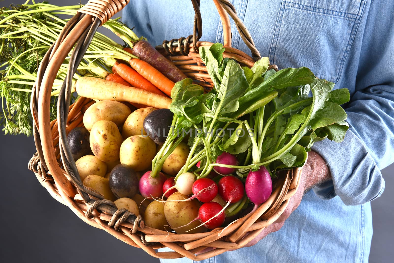 Farmer Holding Organic Vegetable Basket by sCukrov