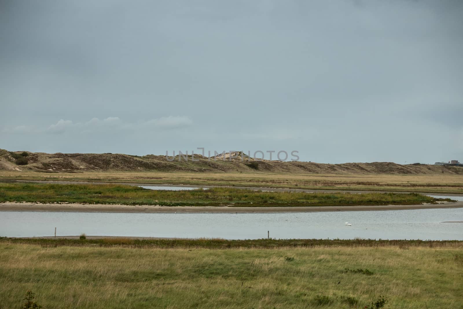 Knokke-Heist, Belgium - September 22, 2018: Detail of the green Zwin plane with seawater marshes under heavy rainy dark cloudscape. Some birds on the water.