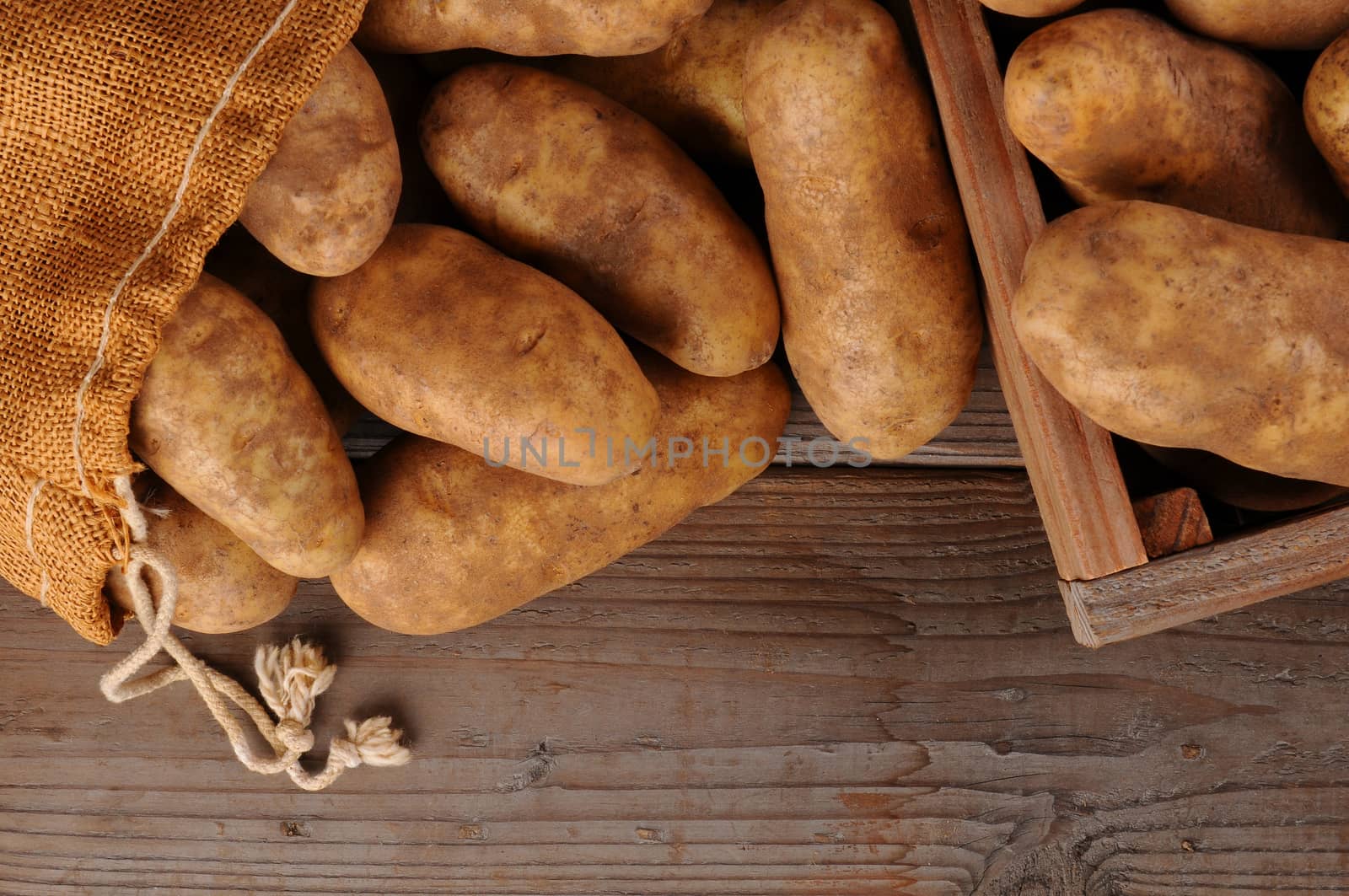 Potatoes on Rustic Wood Background by sCukrov