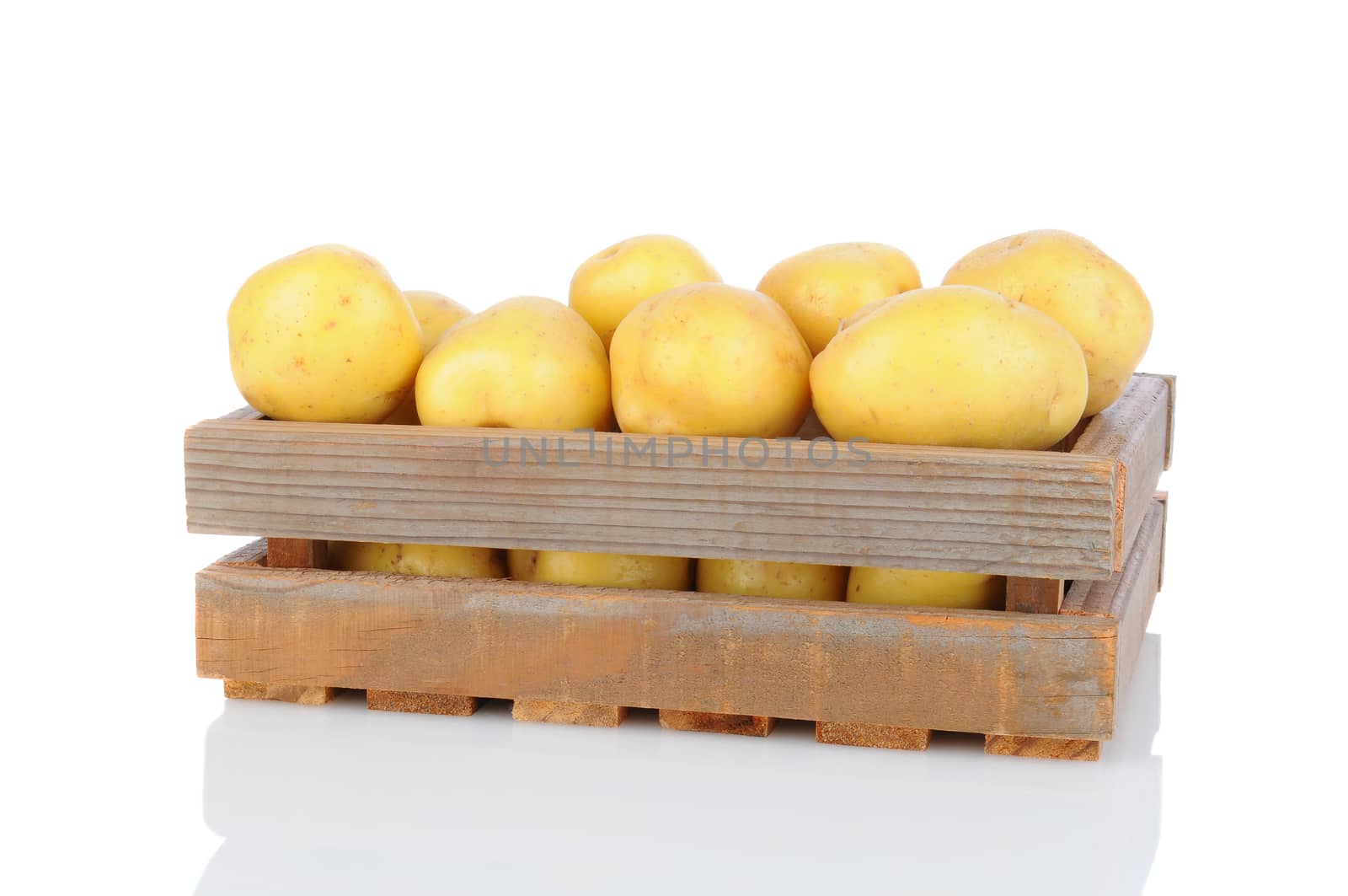 A wooden crate full of  white potatoes on a white background with reflection. Horizontal Format.
