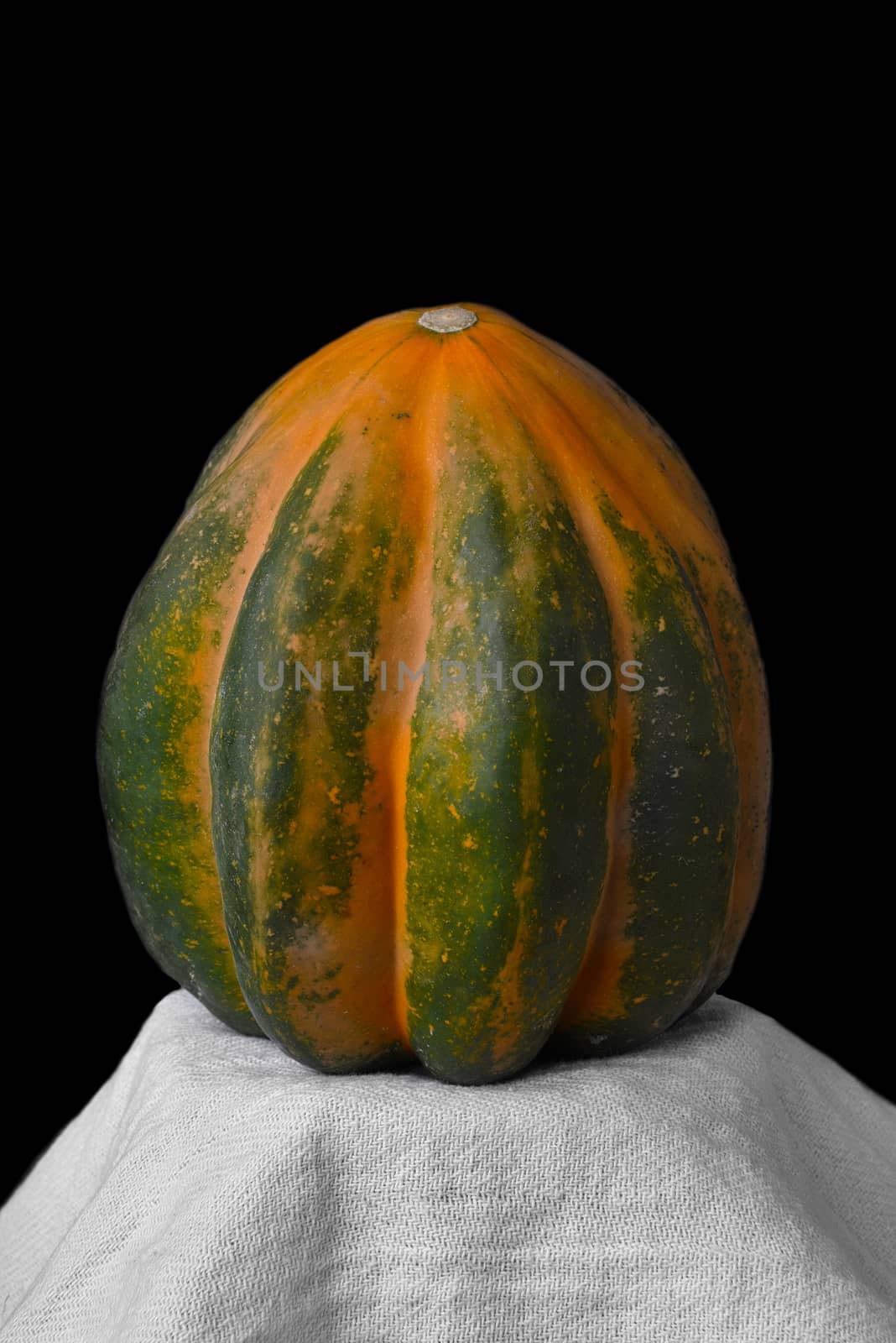 Closeup Still Life of a single Acorn Squash on pedestal against a black background.