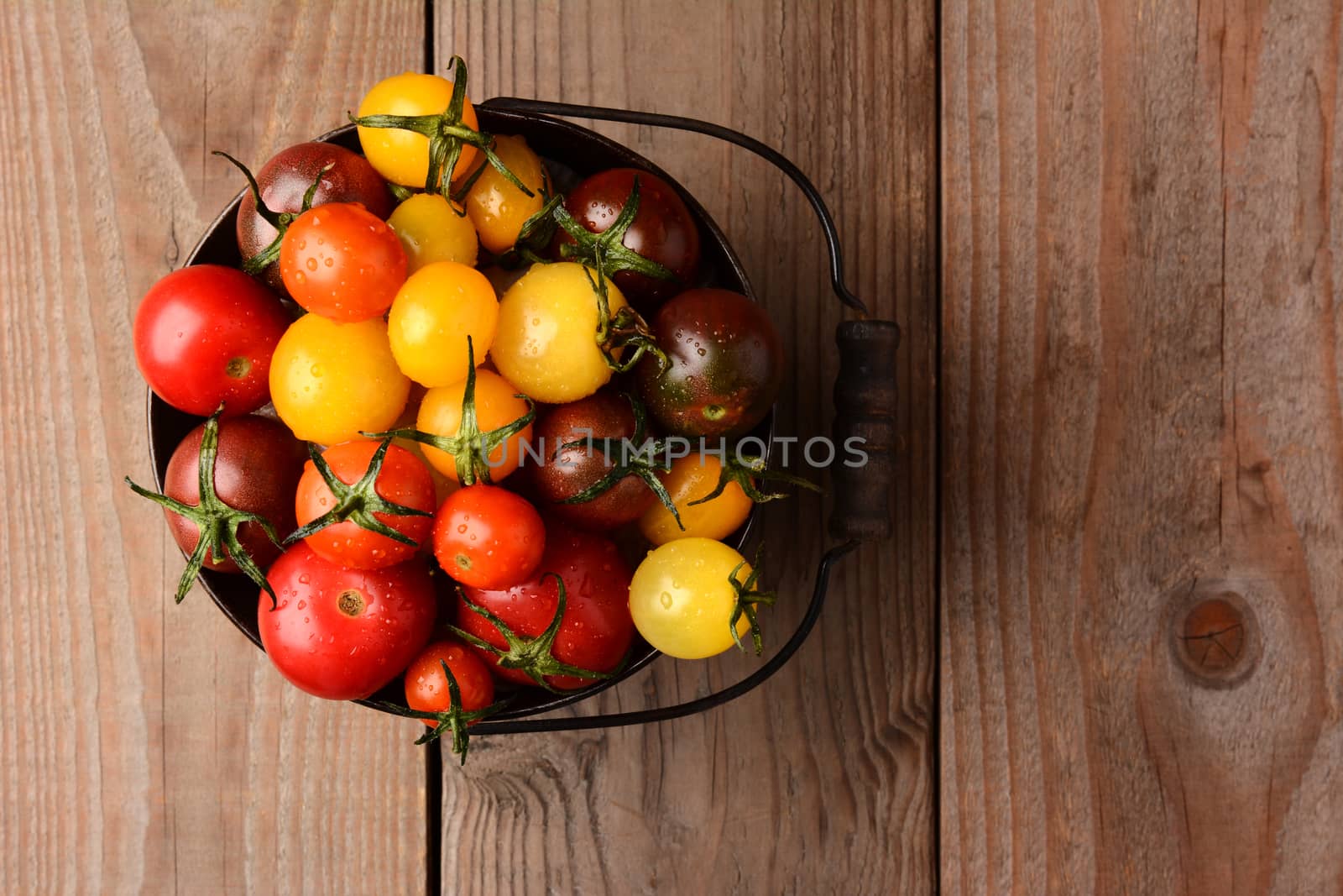 Baby Heirloom Tomatoes in a bucket on a rustic wooden table top. Horizontal format, looking down on the pail.