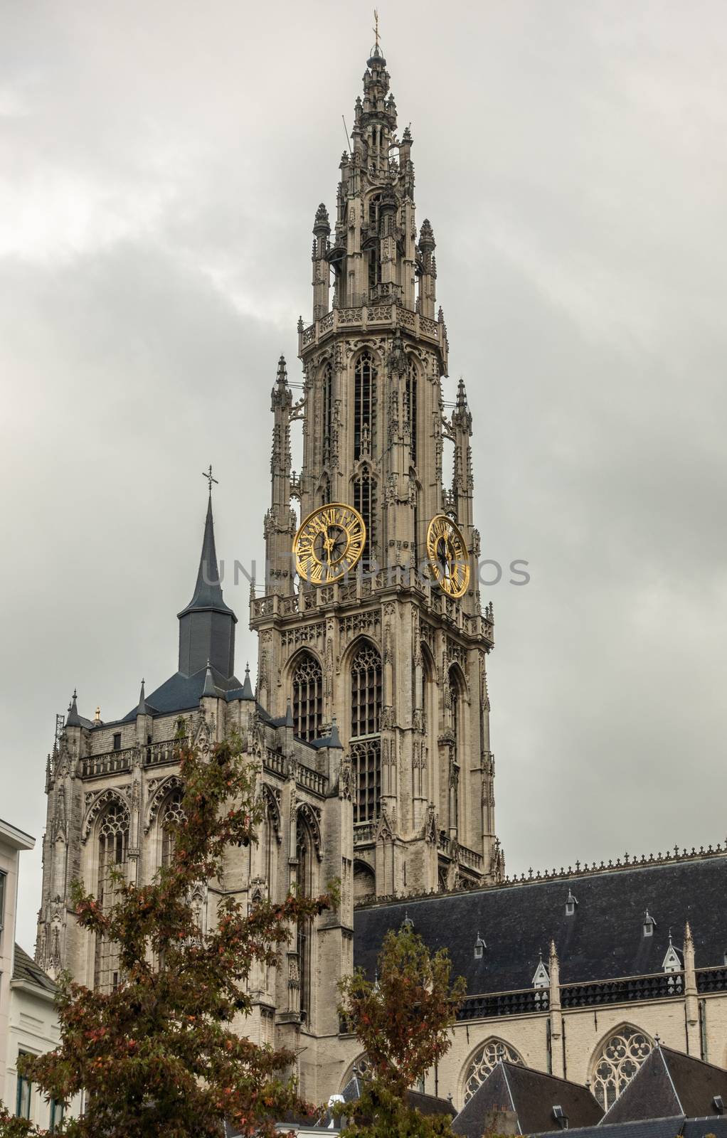 Cathedral of Our Lady towers, Antwerp Belgium. by Claudine
