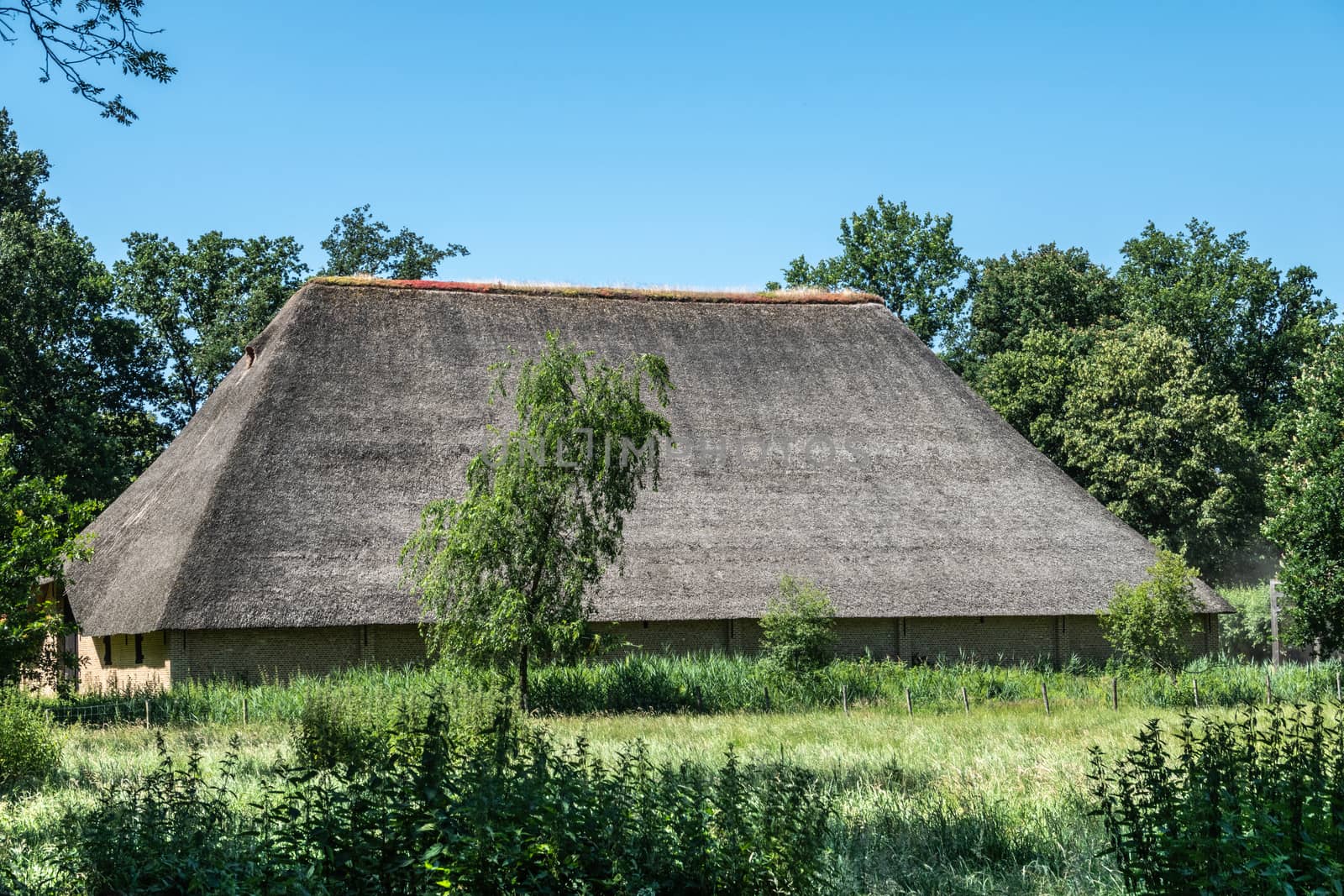 Bokrijk, Belgium - June 27, 2019: Giant barn with gray straw roof is set in green of meadow and surrounding trees under blue sky.
