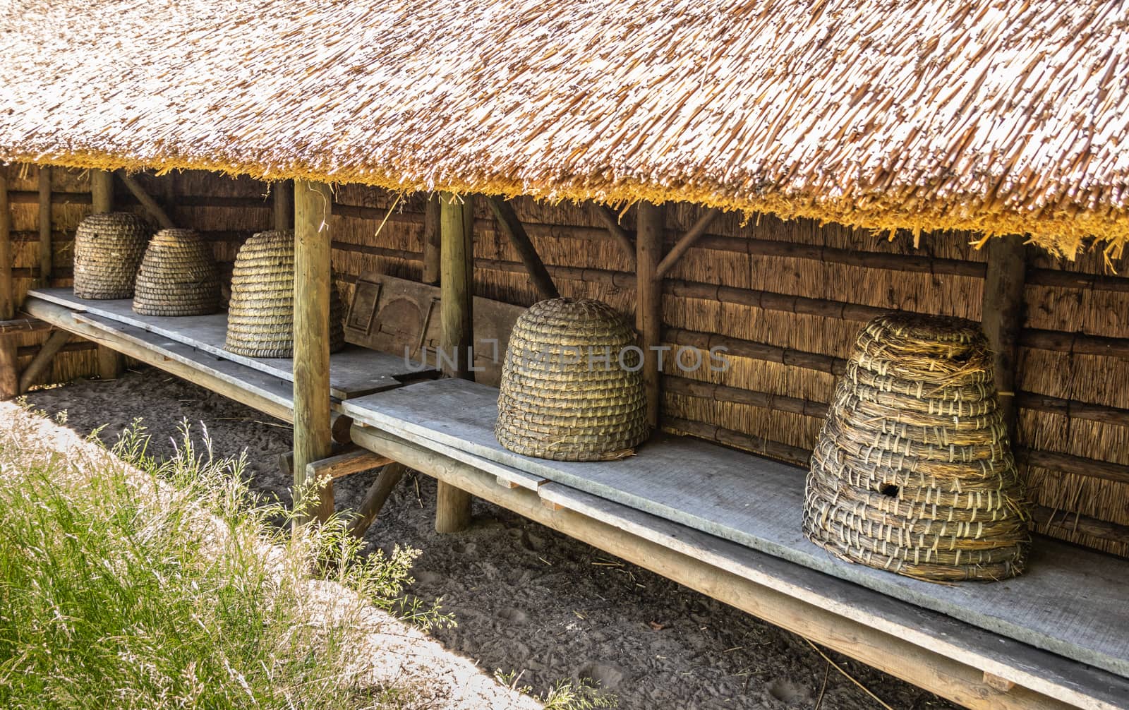 Line of large straw beehives, Bokrijk Belgium. by Claudine