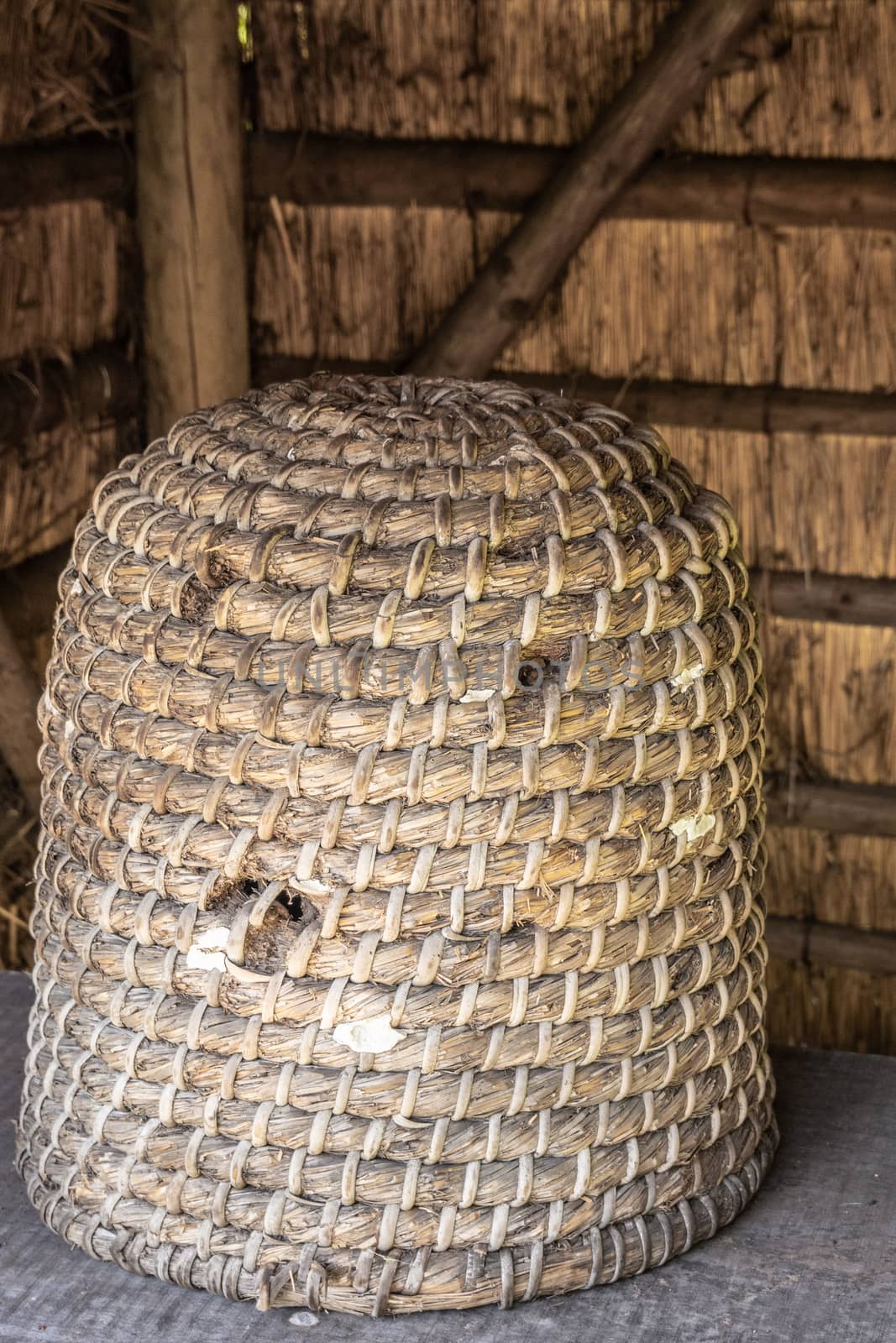 Closeup of large straw beehive, Bokrijk Belgium. by Claudine