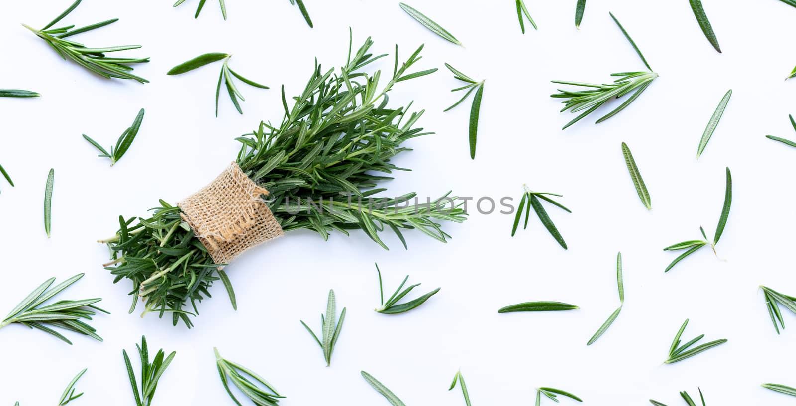 Fresh rosemary isolated on white background.