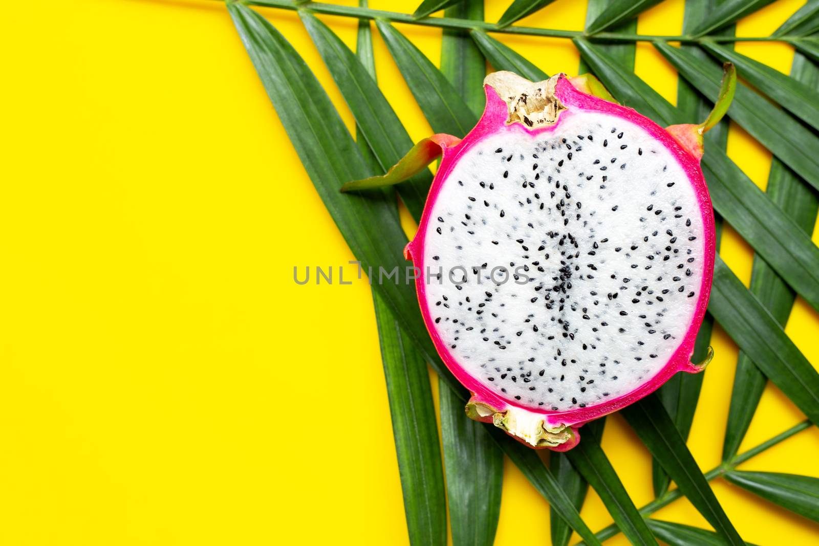 Ripe dragonfruit or pitahaya on tropical palm leaves. Top view