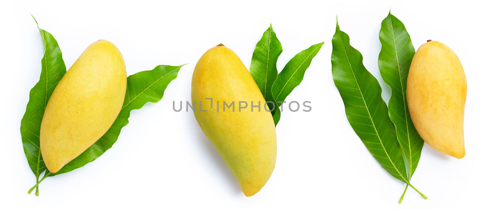Mango with leaves on white background. Top view