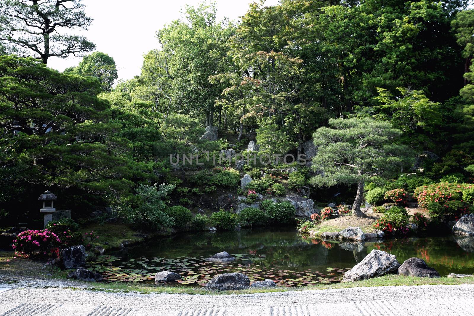 Japanese garden in Japan temple kyoto japan by piyato