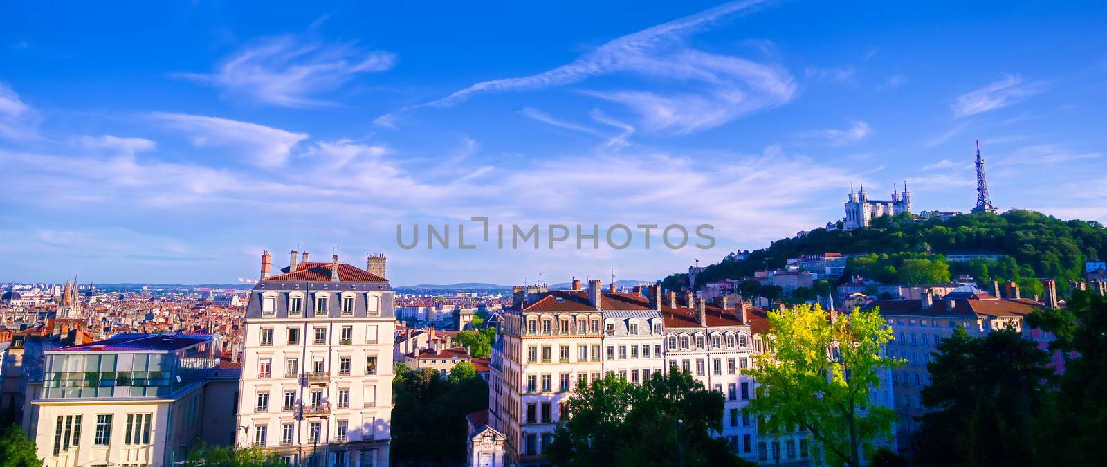 Lyon, France and the Basilica of Notre-Dame de Fourviere from Jardin des plantes.