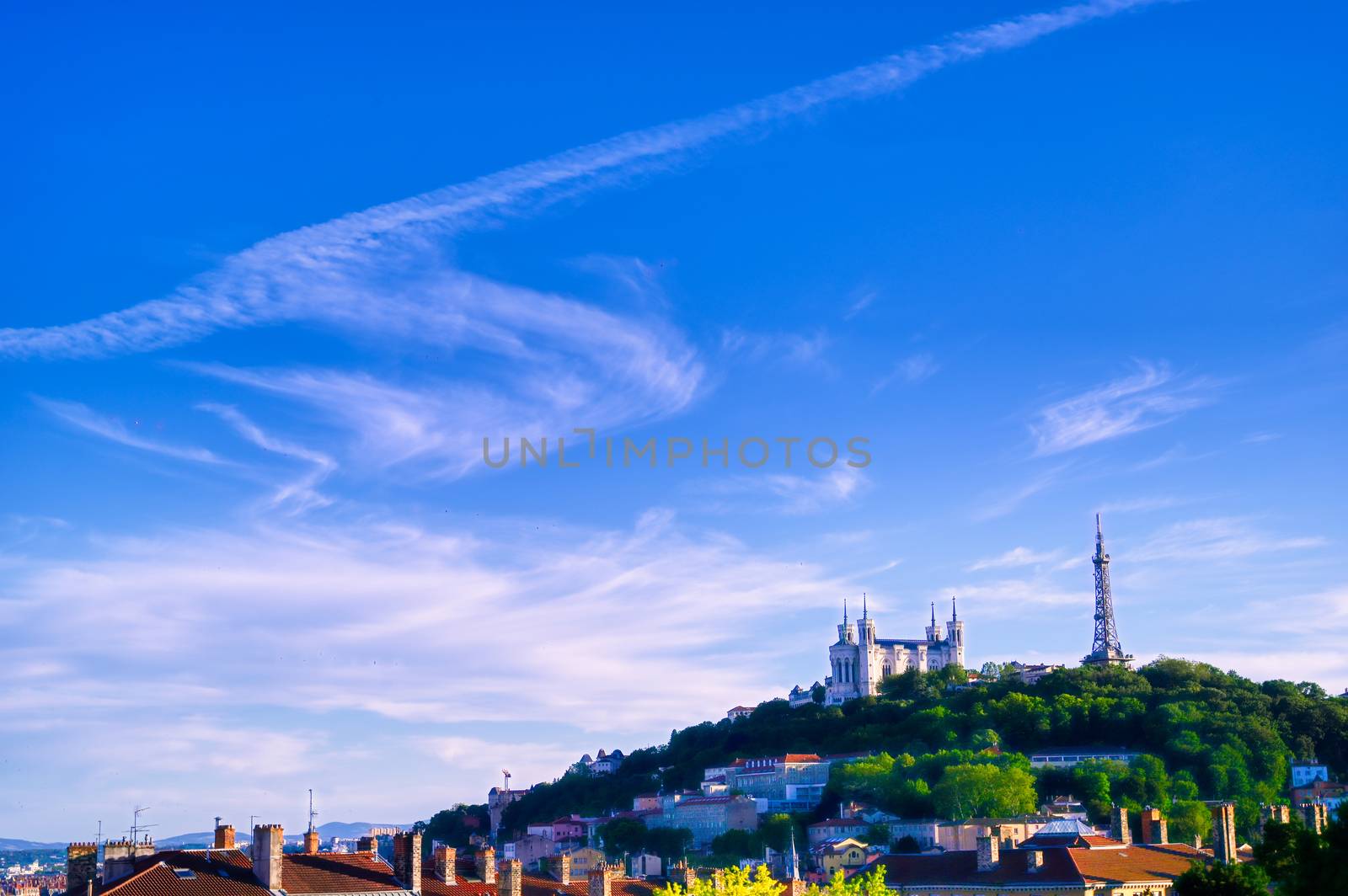 Lyon, France and the Basilica of Notre-Dame de Fourviere from Jardin des plantes.