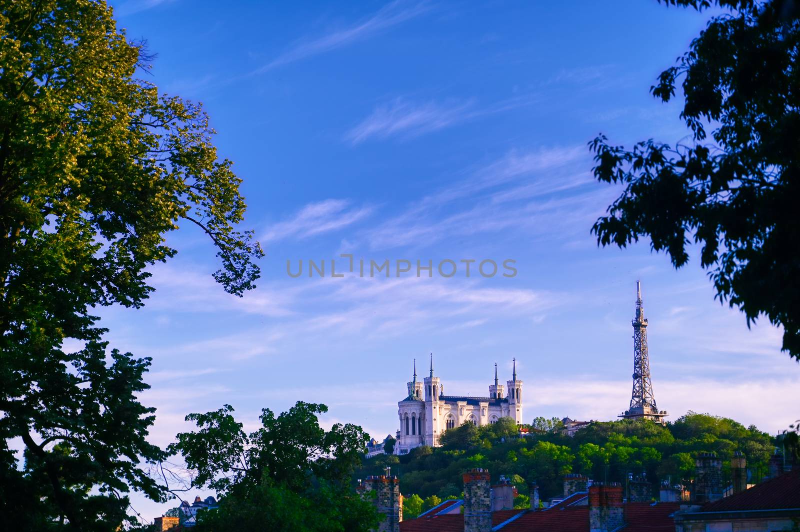 Lyon, France and the Basilica of Notre-Dame de Fourviere from Jardin des plantes.