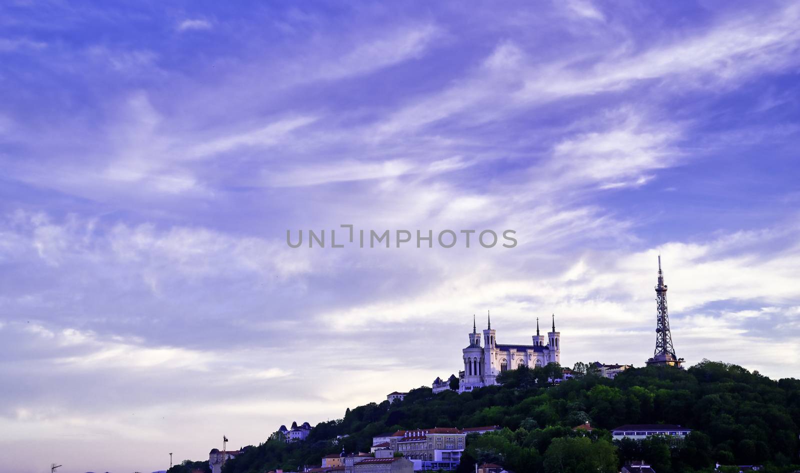 Lyon, France and the Basilica of Notre-Dame de Fourviere from Jardin des plantes.