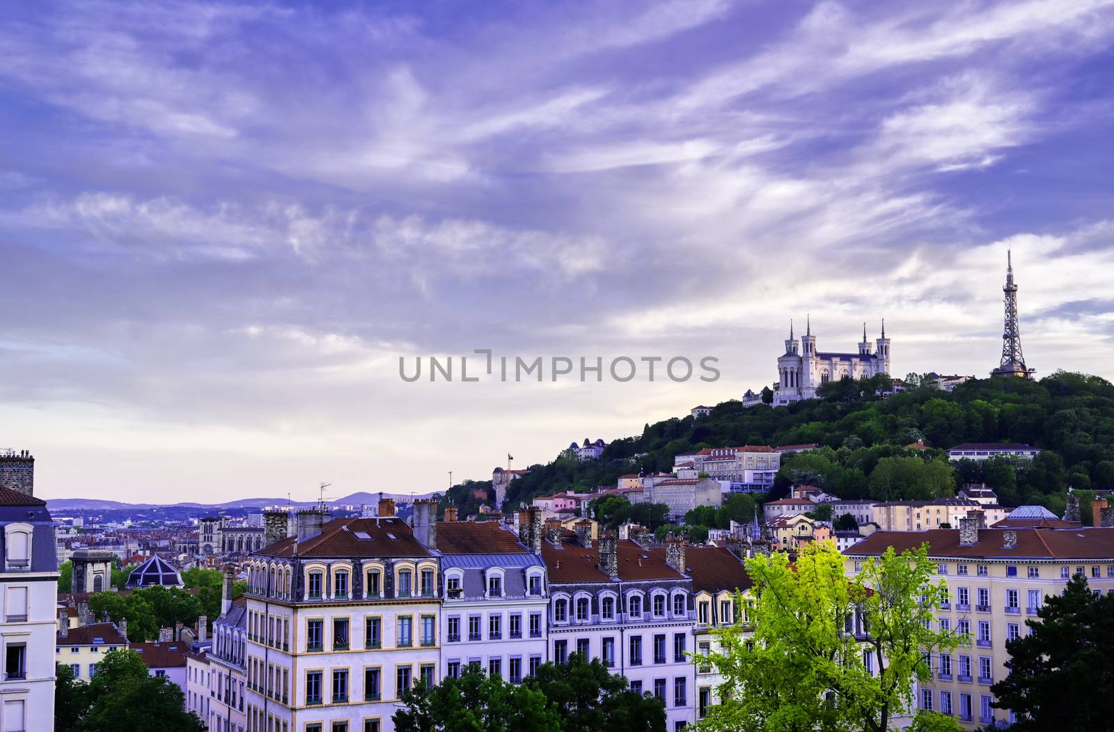 Lyon, France and the Basilica of Notre-Dame de Fourviere from Jardin des plantes.