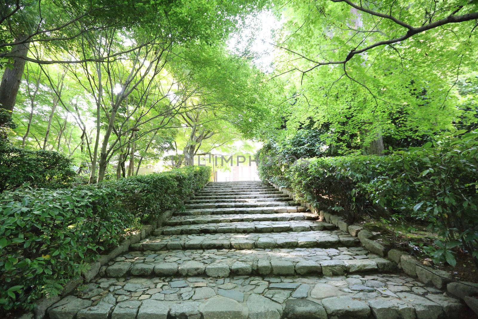 Japanese garden in kyoto japan by piyato