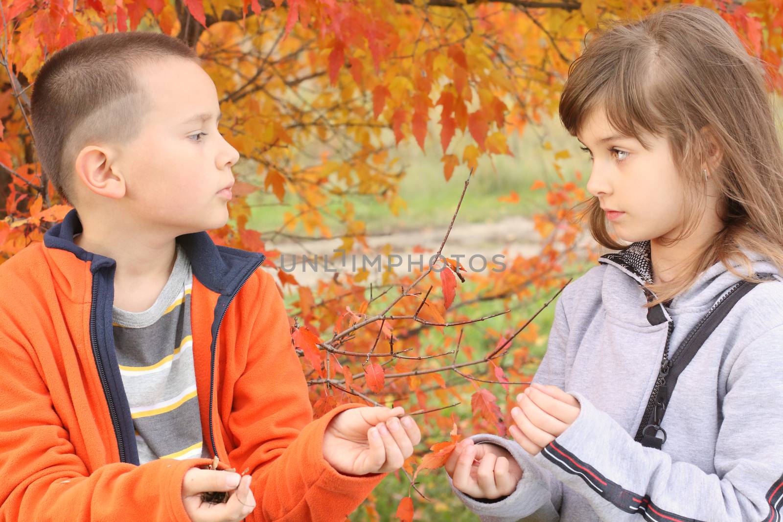 Portrait of two lovely kids communicating. Orange colors of the autumn