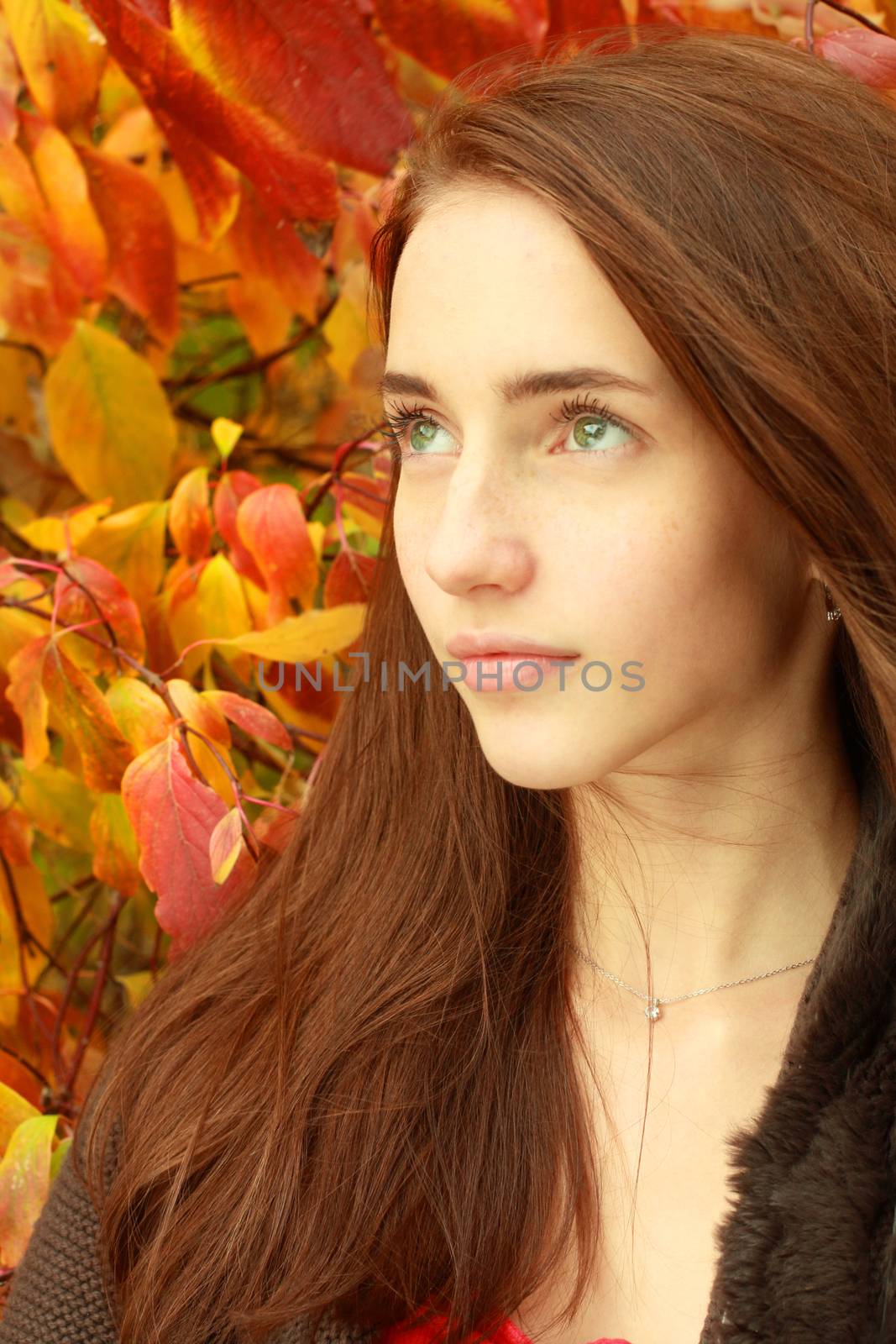 Outdoors portrait of the teenage girl. Enjoying autumn time